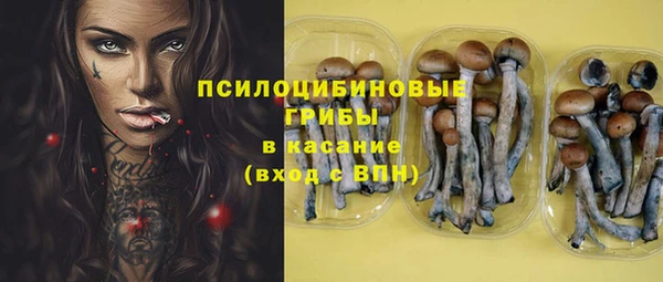 дмт Заводоуковск