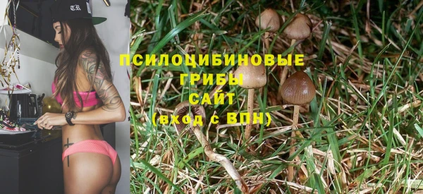 дмт Заводоуковск