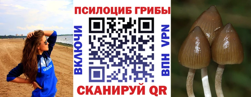 Псилоцибиновые грибы мицелий  даркнет телеграм  Карабаново 